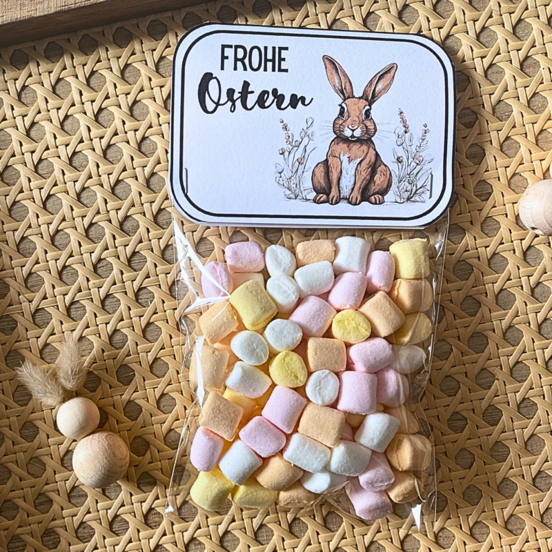 Geschenktuete Frohe Ostern Hase (5)